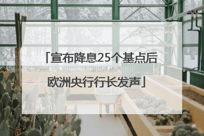 宣布降息25个基点后 欧洲央行行长发声